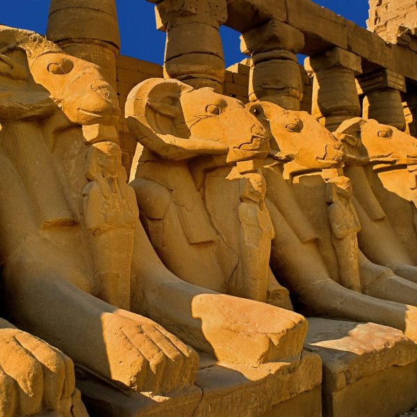 Luxor Egypt sphinx avenue
