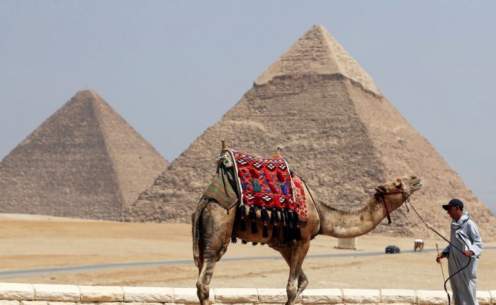 Cairo Tours egypt, pyramids of giza with camel in the background
