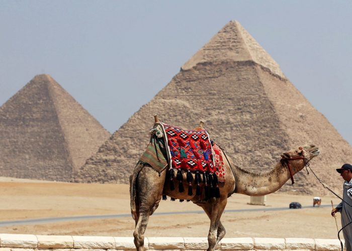Cairo Tours egypt, pyramids of giza with camel in the background