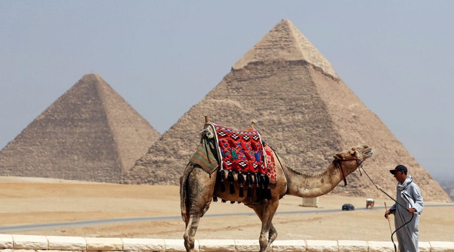 Cairo Tours egypt, pyramids of giza with camel in the background
