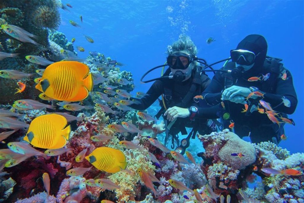 Divers on a coral reef in the Red Sea near Hurghada