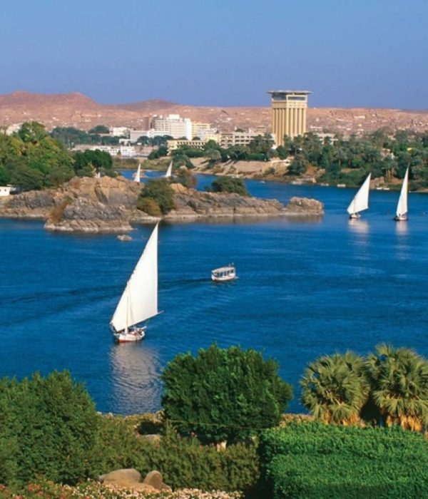 White-sailed feluccas on the Nile in Aswan with the West Bank hills behind