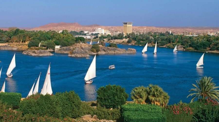 White-sailed feluccas on the Nile in Aswan with the West Bank hills behind