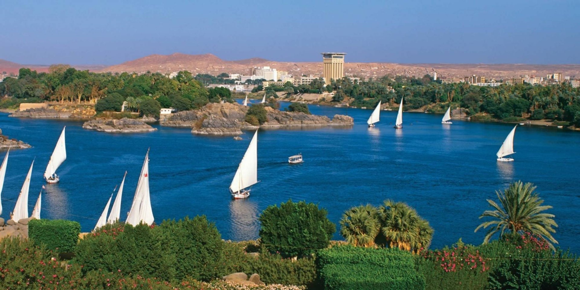White-sailed feluccas on the Nile in Aswan with the West Bank hills behind