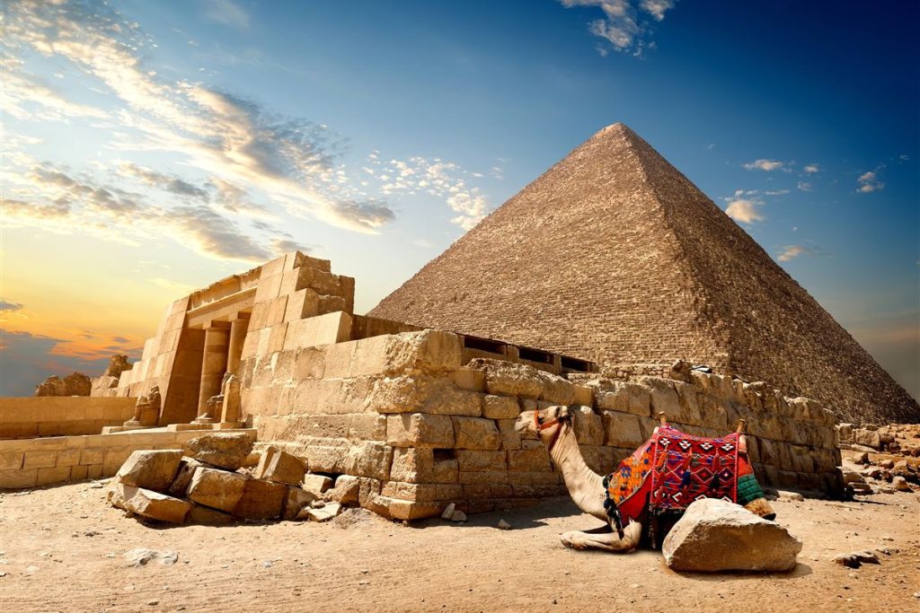 Great Pyramid of Giza with a resting camel – Cairo day tour