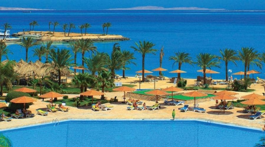 Palm-lined pool and sandy beach at a resort in Hurghada on the Red Sea