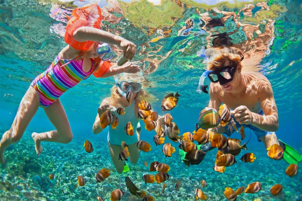 Snorkelling among tropical fish near Tiran Island